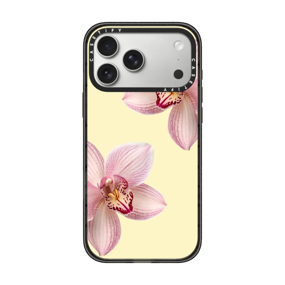 CASETiFY Summer Collection Wat - Summer Closet review and price