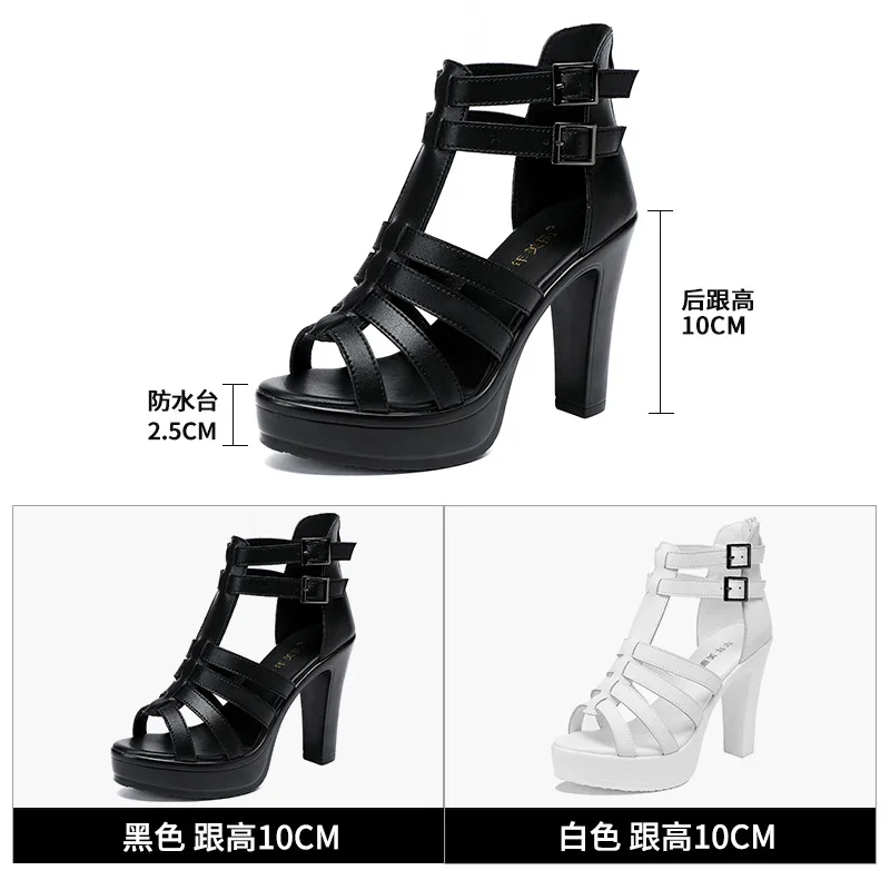 Gladiator Ladies Shoe for Wome - Summer Closet review and price